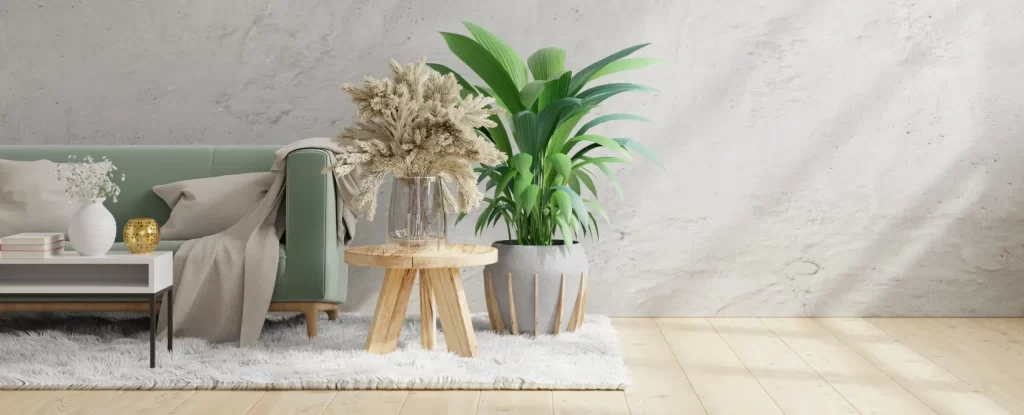 Planta